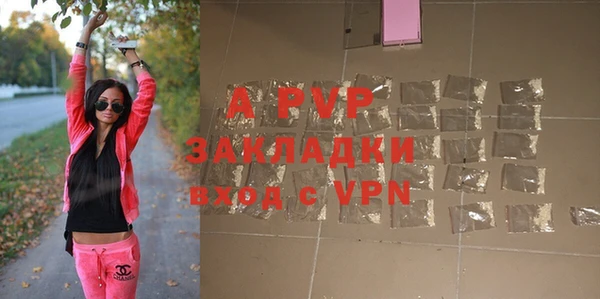 прущие грибы Нягань