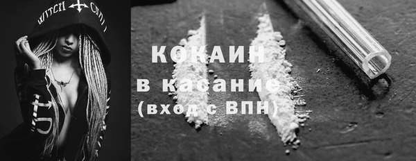 прущие грибы Нягань