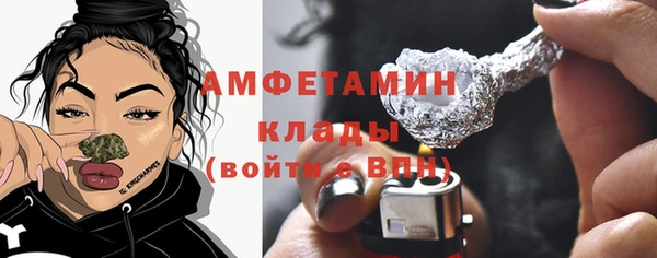 дурь Няндома
