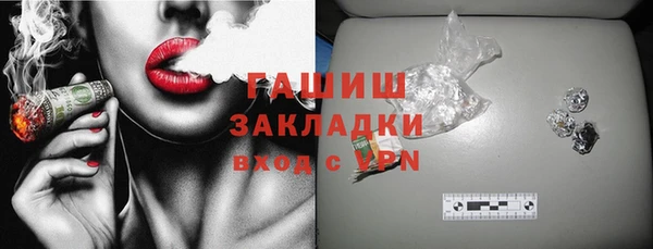 дурь Няндома