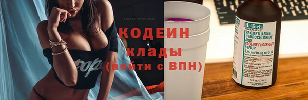 дурь Няндома