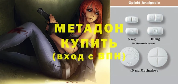 дурь Няндома