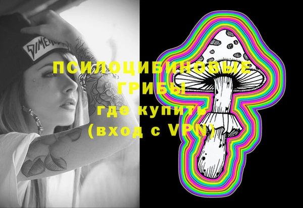 прущие грибы Нягань