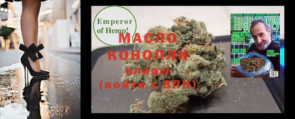 твердый Новодвинск