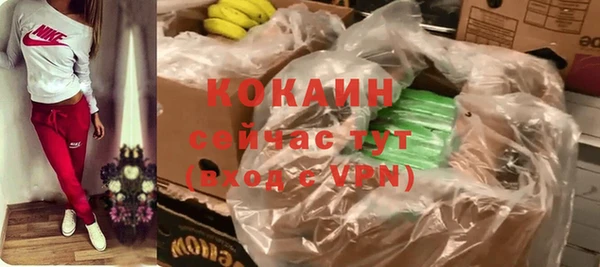дурь Няндома